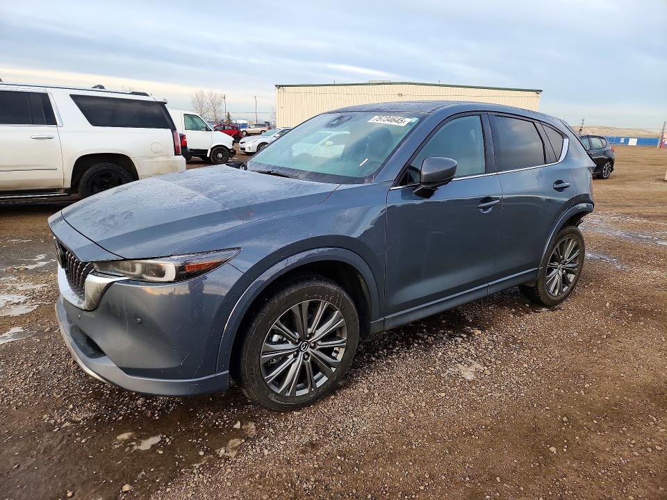 Buyer navigating Copart auctions with expert car buying tips